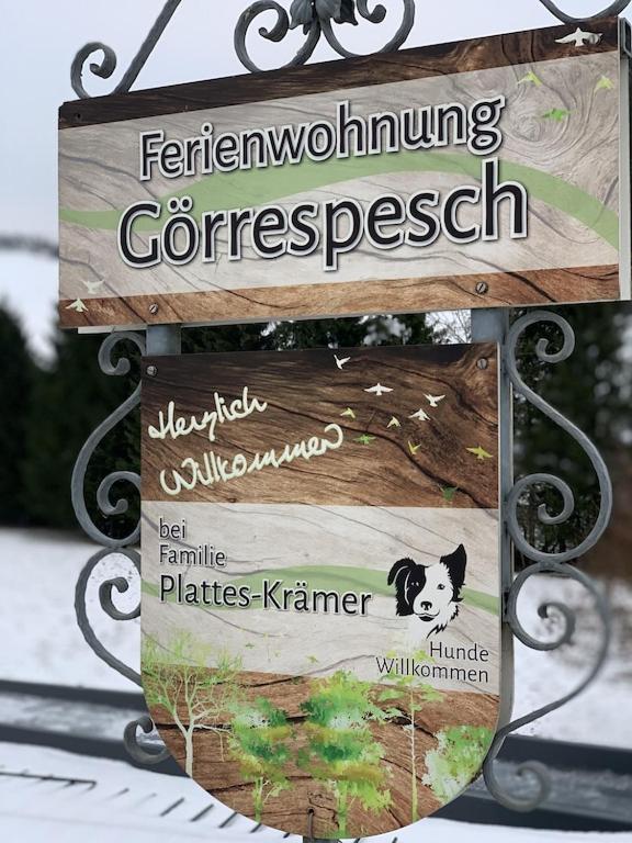 Hof Goerrespesch-Ferien Im Herzen Der Schneifel Schlausenbach Екстериор снимка